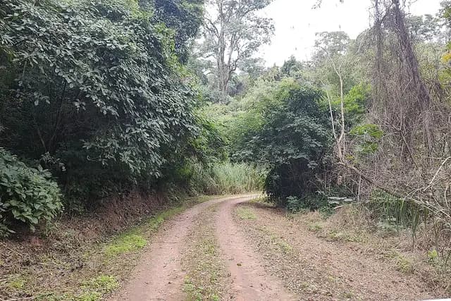 Parque Nacional Calilegua