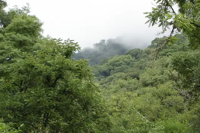 Quebrada de San Lorenzo